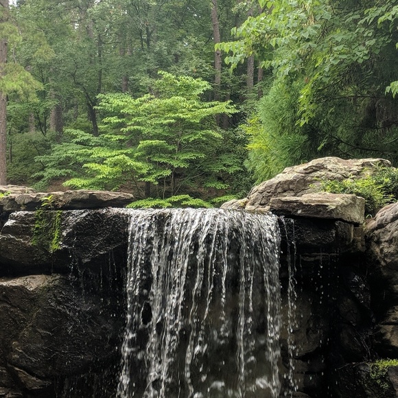 Meet your Posher, Mital - Picture 1 of 1